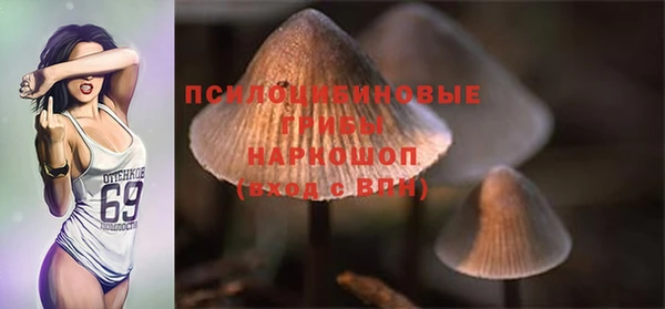 спайс Армянск