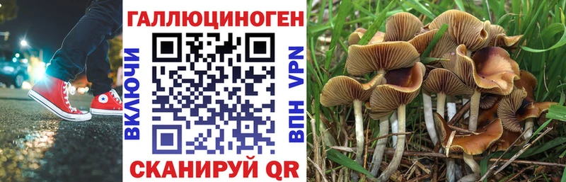Галлюциногенные грибы GOLDEN TEACHER  блэк спрут как зайти  Байкальск 