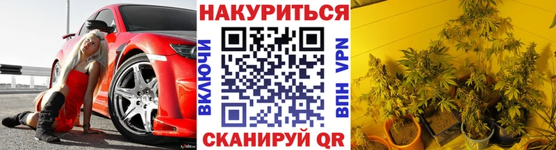 Канабис планчик  закладка  hydra вход  Байкальск 
